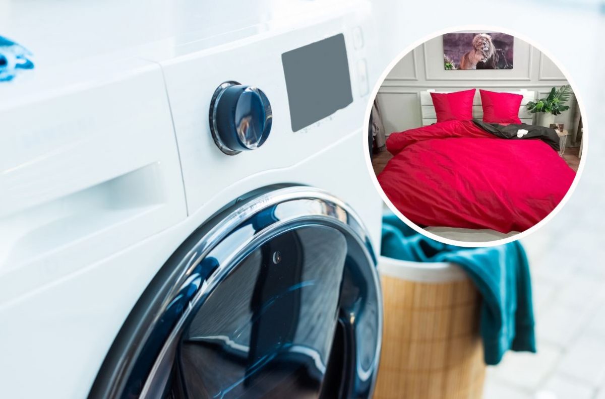 «Почему белье после стирки в стиральной машине плохо пахнет?» — Яндекс Кью