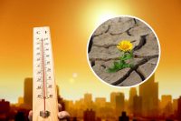Україну накриє нова порція африканської спеки: синоптик сказав, коли чекати похолодання