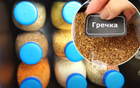 Щоб не завелася міль та комахи: як правильно зберігати крупи на кухні
