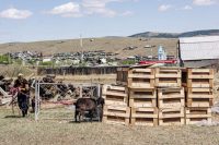 Повний літак трун: у Мережі показали, як буряти і тувинці повертаються додому з України