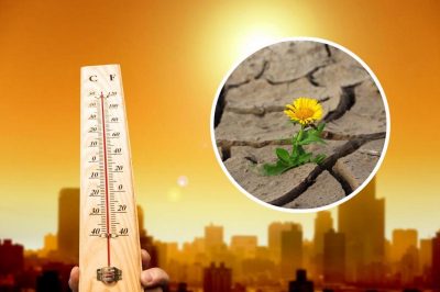 погода, спека, посуха