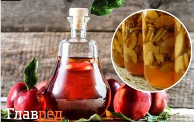 Як приготувати соковиту яблучну наливку на горілці і на меді: поради та рецепти