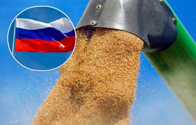 Росія системно вивозить через Крим крадене українське зерно до Туреччини - ЗМІ