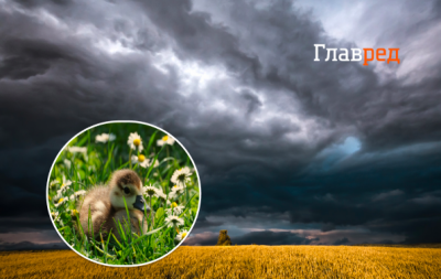 погода, прогноз погоди, погода в Україні погода, прогноз погоди, погода в Україні