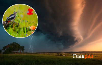 погода, погода в Україні