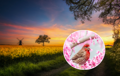 погода, погода в Україні