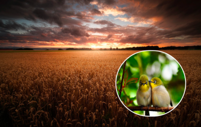 погода, погода в Україні погода, погода в Україні