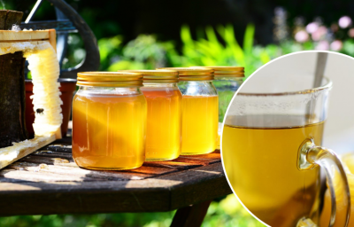 Мед може завдати серйозної шкоди організму: як його правильно їсти