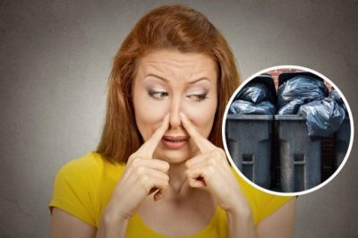 Як позбутися від запаху сміття в квартирі: поради та рекомендації