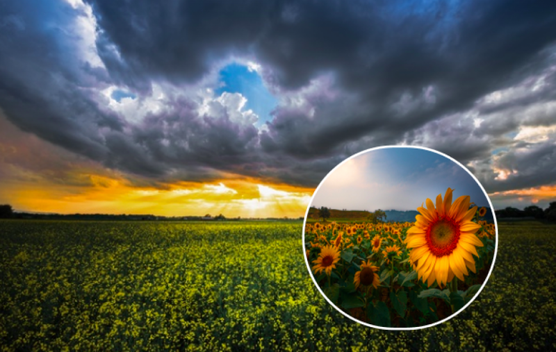 Украину накроет холодный атмосферный фронт: синоптики предупредили о резком похолодании