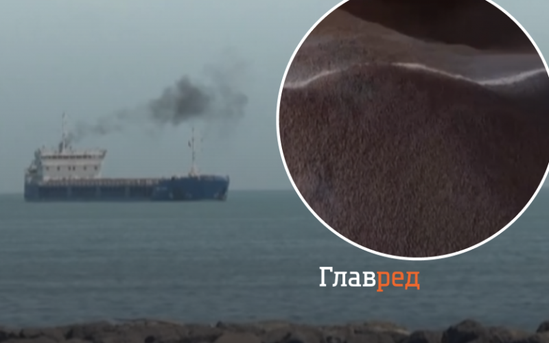 Турция задержала судно РФ с краденным украинским зерном: посол рассказал о его дальнейшей судьбе