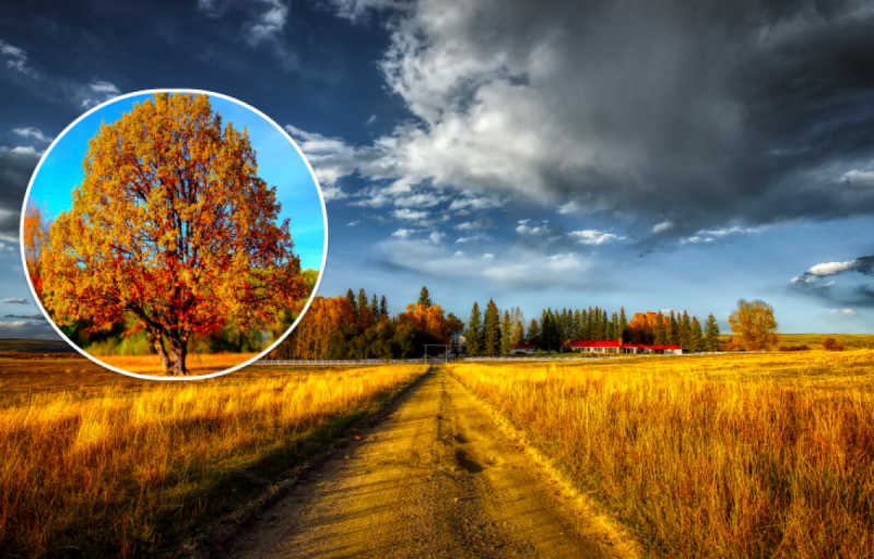 Тепло, но неустойчиво - с дождями и грозами: прогноз погоды от Диденко на 2 августа