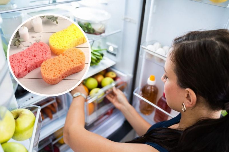 Зачем нужно класть губку в холодильник: секрет опытных хозяек