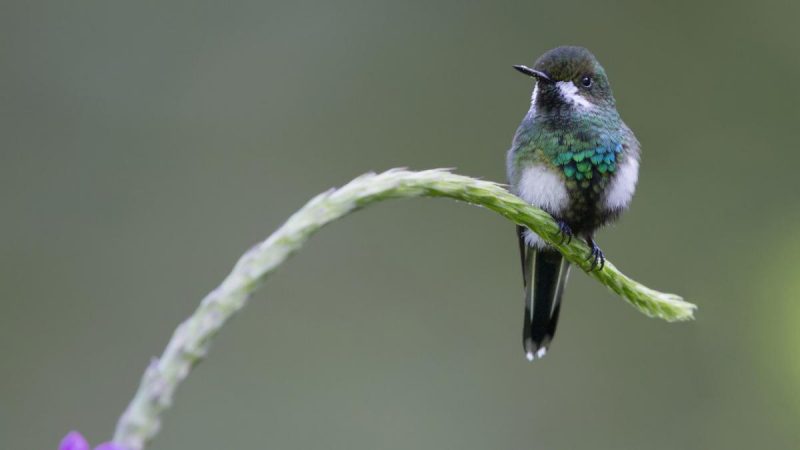 Приметы на 27 июля: какие 2 вещи нельзя делать, чтобы не попасть в беду