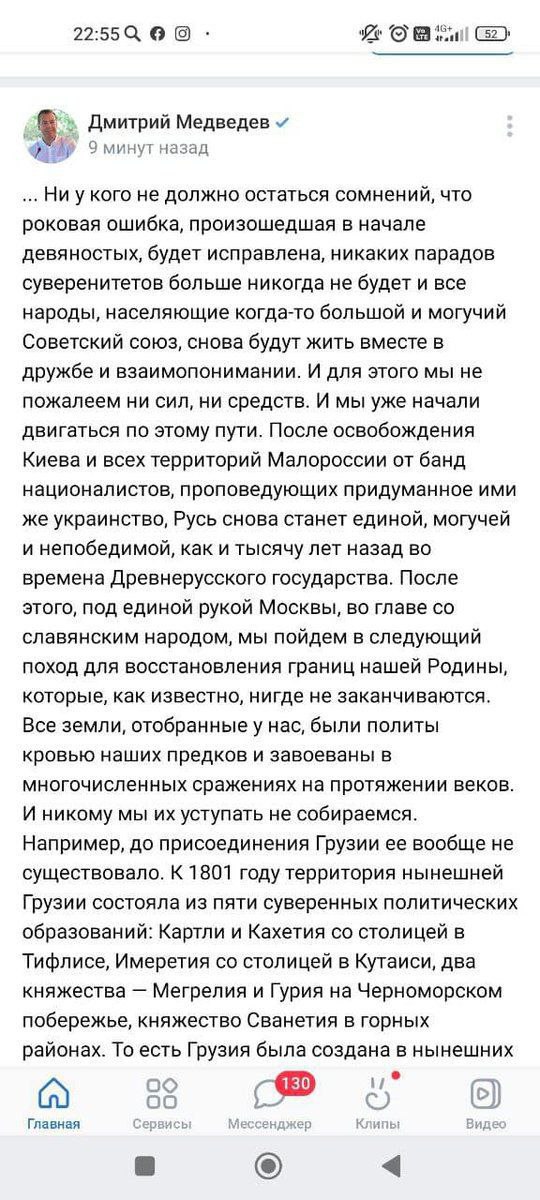 Дичь, которую написал Медведев