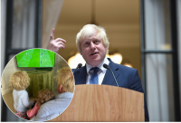 Такі недбалі зачіски, як в батька: Джонсон опублікував зворушливий знімок з дітьми