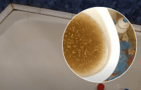 Як використовувати біᴫизну не за призначенням: усуне засмічення та врятує від цвілі