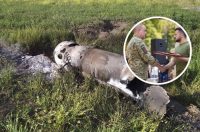 Збили 6 ракет Калібр за 3 хв: командир дивізіону розповів про героїчне відбиття атаки окупантів