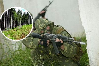 Окупанти під Мелітополем після удару ЗСУ втекли в ліс: бояться нових атак