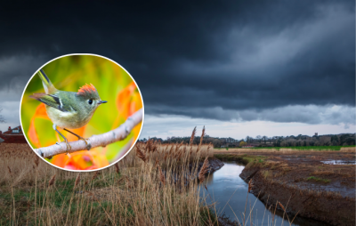 погода, погода в Україні погода, погода в Україні