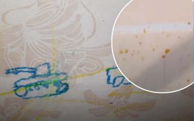 Отмываем копоть, жир и следы от ручки: как почистить обои в домашних условиях