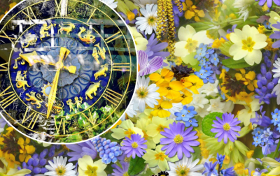 Квітковий гороскоп: який букет принесе щастя і удачу, а який розлютить знаки зодіаку