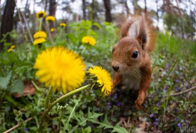 Нестерпна спека майже по всій країні: якою буде погода в Україні у вересні 2022 року