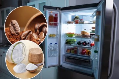 Навіщо потрібно класти соду та каву в холодильник: поради досвідчених господинь