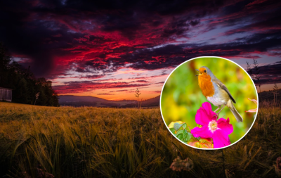 погода, погода в Україні погода, погода в Україні