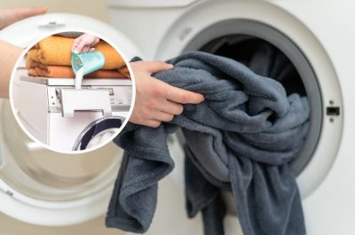 Як випрати дуже великий плед в машинці і вручну: 15 головних правил