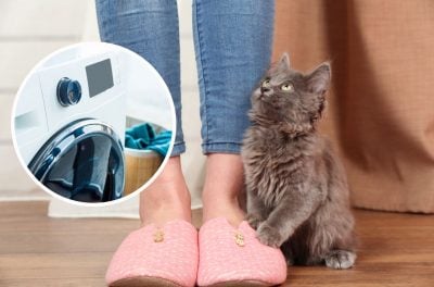 Як правильно прати капці у пральній машині: правила, які збережуть ваше взуття