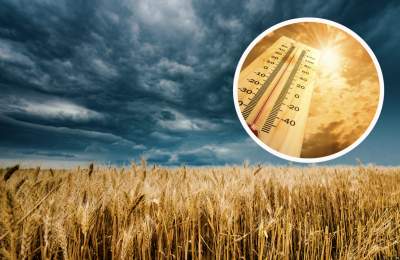 Сентябрь 2022 будет самым жарким за последние 30 лет - прогноз погоды на осень в Украине