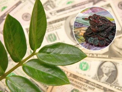 Гроші, прикмети Гроші, прикмети