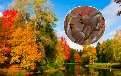 погода, прогноз погоди погода, прогноз погоди