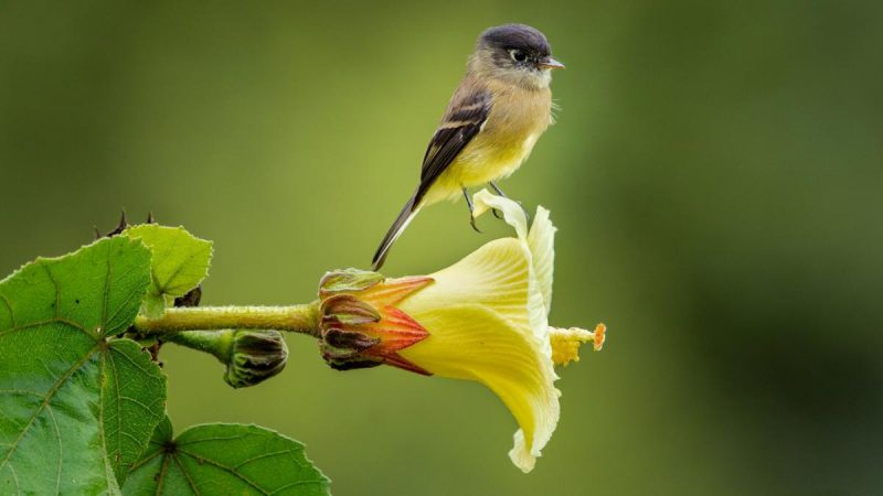 Приметы на 20 августа: какие 2 вещи категорически запрещено делать, чтобы не впустить беды