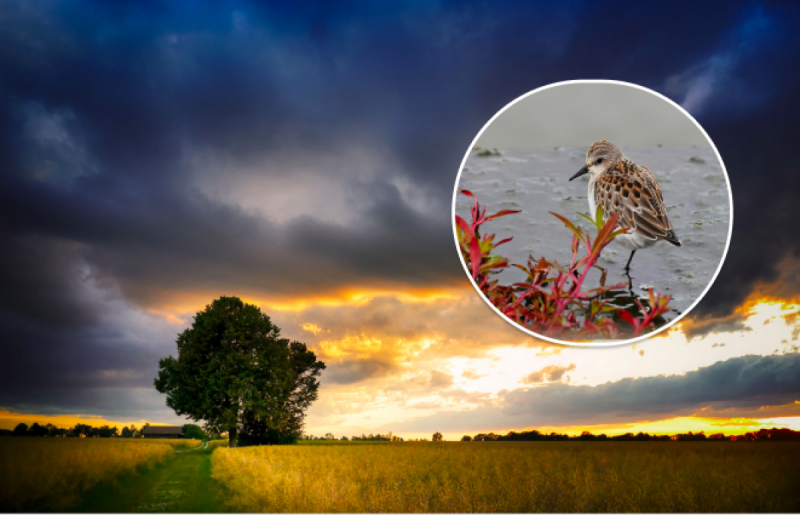 Сильнейший град завалит Украину: синоптики предупредили о похолодании и ливнях