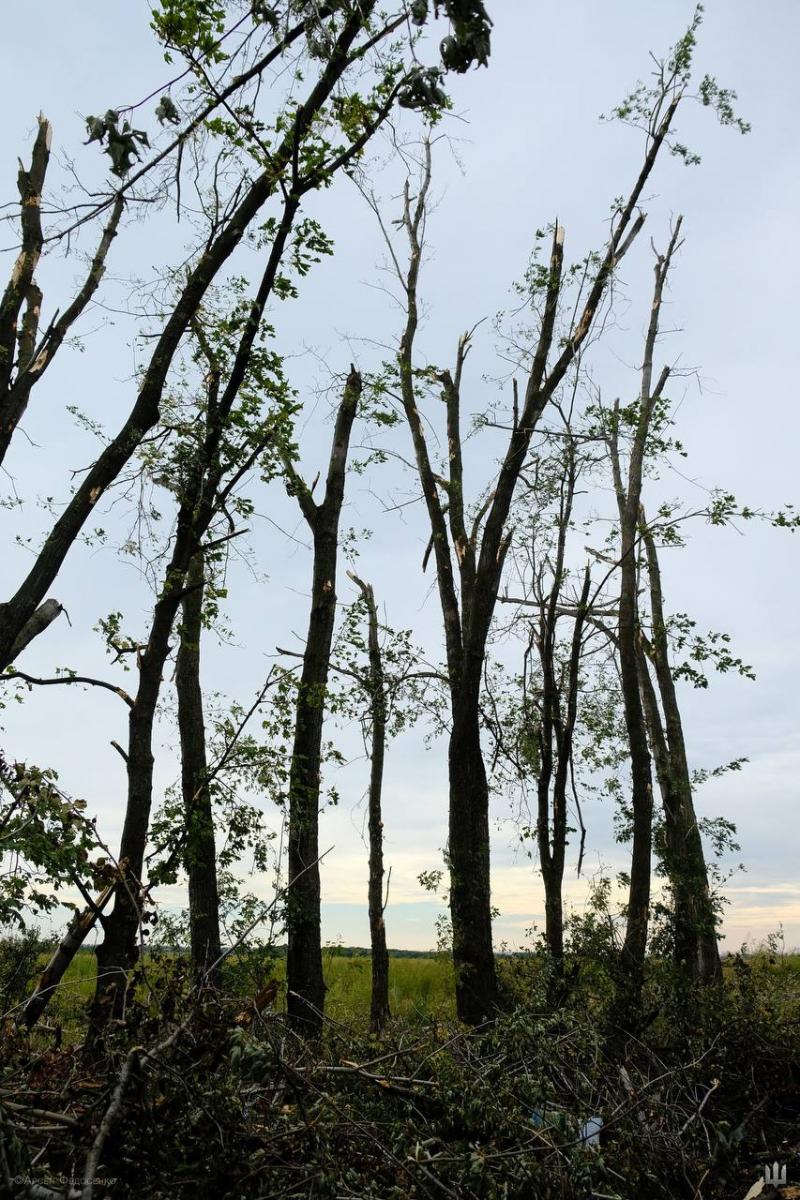 ЗСУ звільняють Харківщину