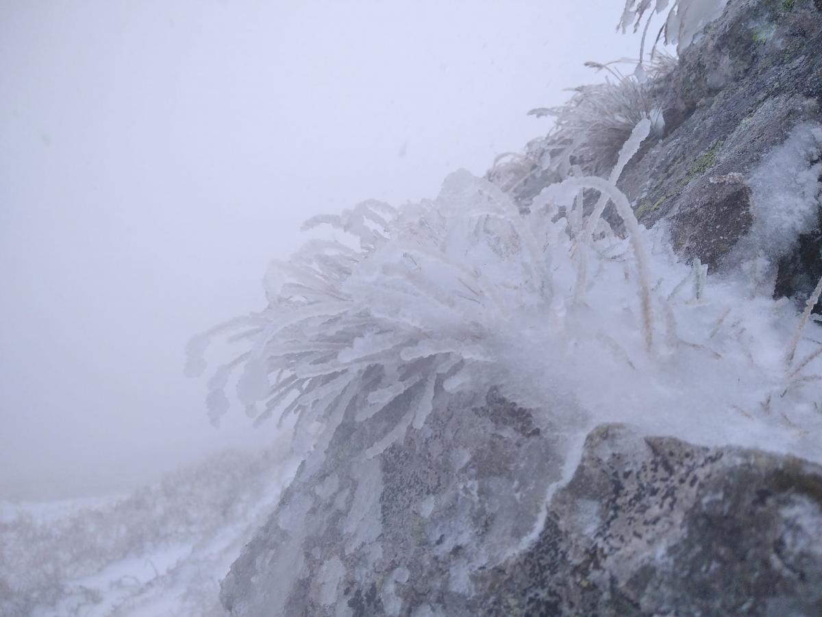 первый снег