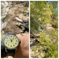 Після зйомок мертві встали і пішли: в РФ зганьбилися, показавши фейк про ліквідацію 38 бійців ЗСУ