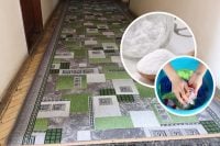 Все пятна полностью исчезнут: как почистить ковер не снимая его с пола
