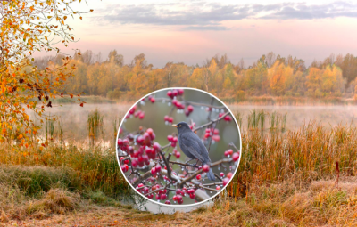 погода, погода в Україні