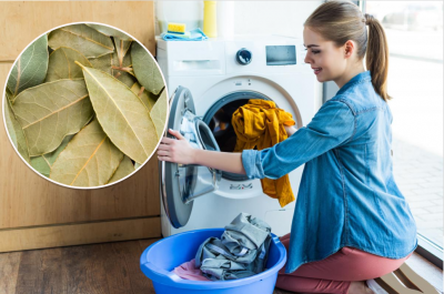 Опытные хозяйки кладут лавровый лист в стиральную машину: зачем они это делают