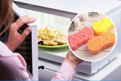 Кухонная губка, микроволновка, микроволновая печь