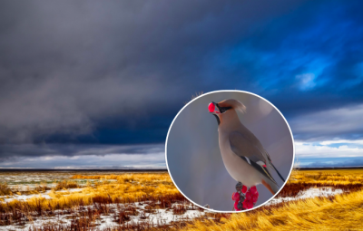 погода, погода в Україні погода, погода в Україні