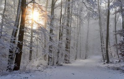Вріже до 0° і завалить снігом: українців попередили про похолодання, названо терміни