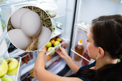яйця, холодильник