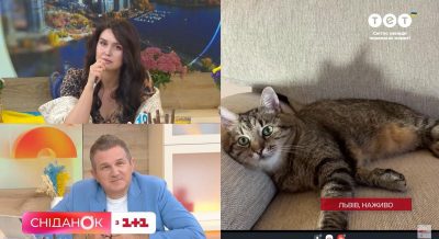 Ексклюзив: зірка соцмереж кіт Степан розповів про повернення в Україну і поповнення у котячій родині