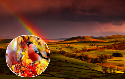 погода, погода в Україні погода, погода в Україні