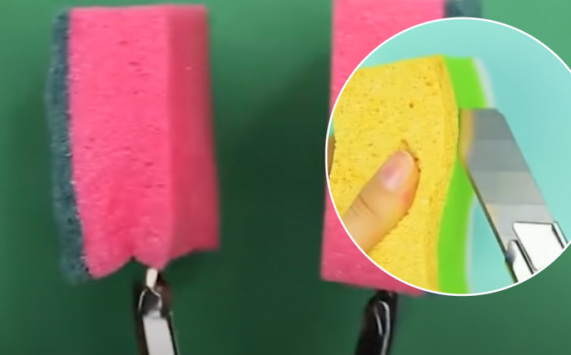 Тямущі господині роблять надріз в губці та насолоджуються результатом: як її використовують