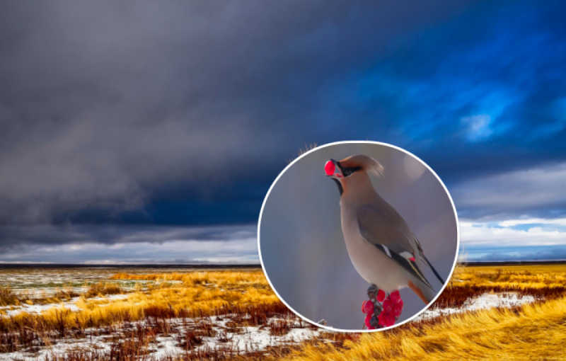 Сніговий циклон увірветься в Україну: синоптик назвав дату атаки потужного удару стихії